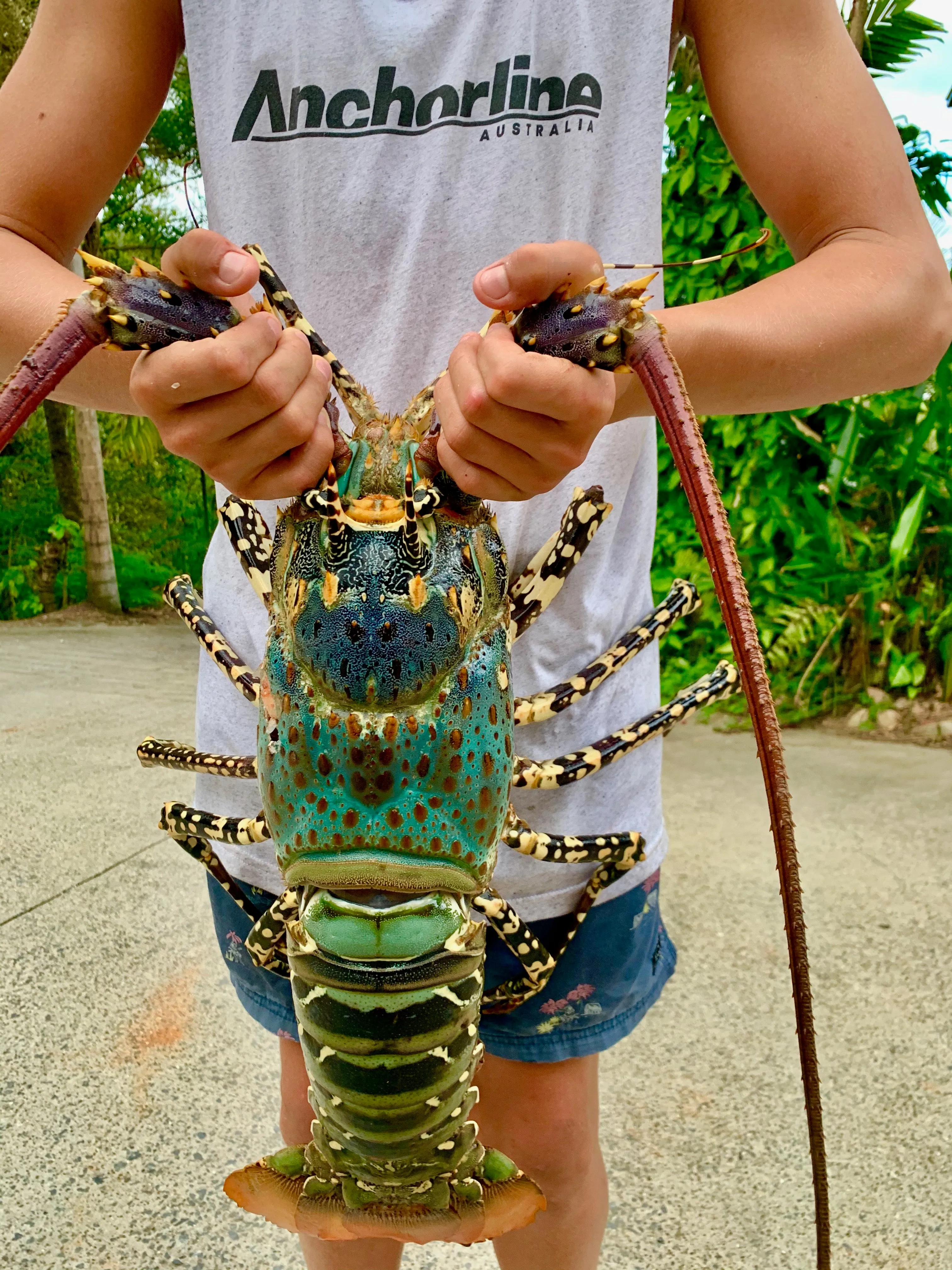Men's Mackerel Tank Top