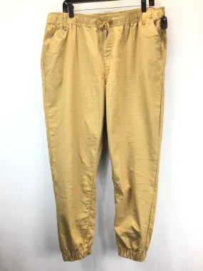 Pants Joggers By Clothes Mentor  Size: 2x